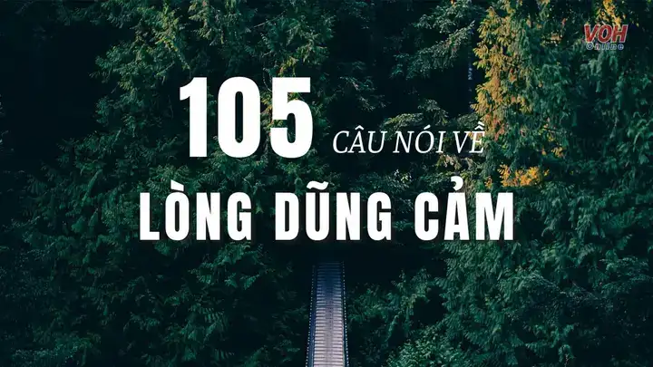 câu nói về lòng dũng cảm câu nói về lòng dũng cảm