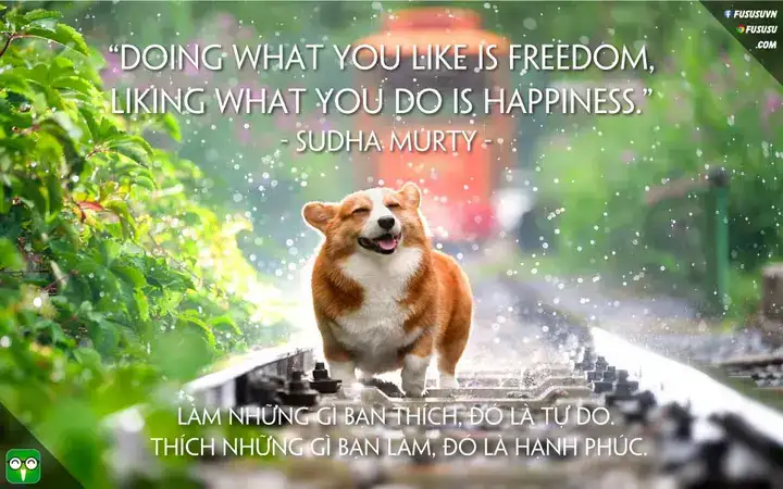 câu nói về hạnh phúc câu nói về hạnh phúc