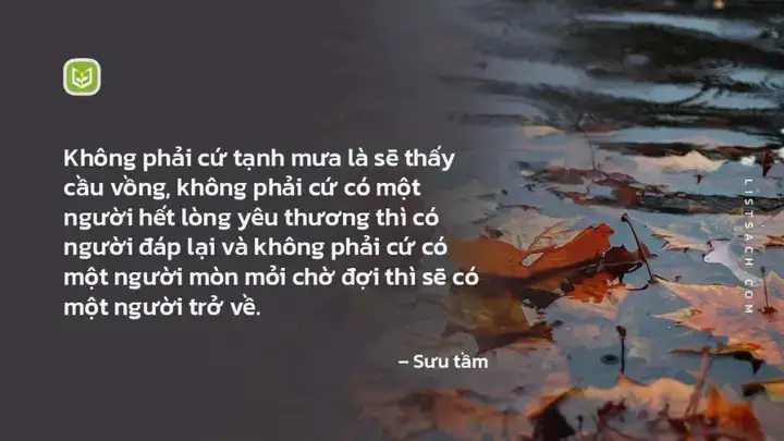 câu nói hay về mưa câu nói hay về mưa