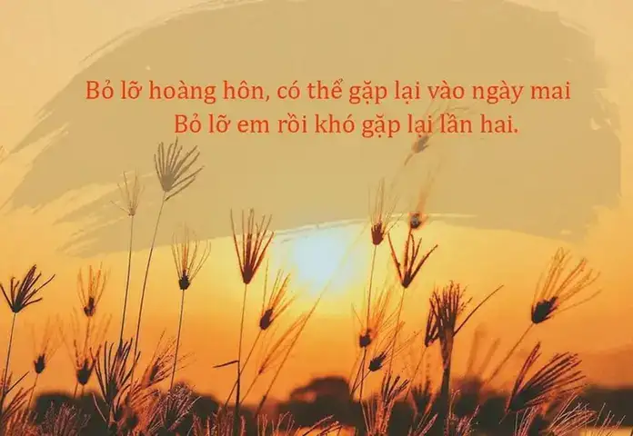 câu nói hay về hoàng hôn câu nói hay về hoàng hôn
