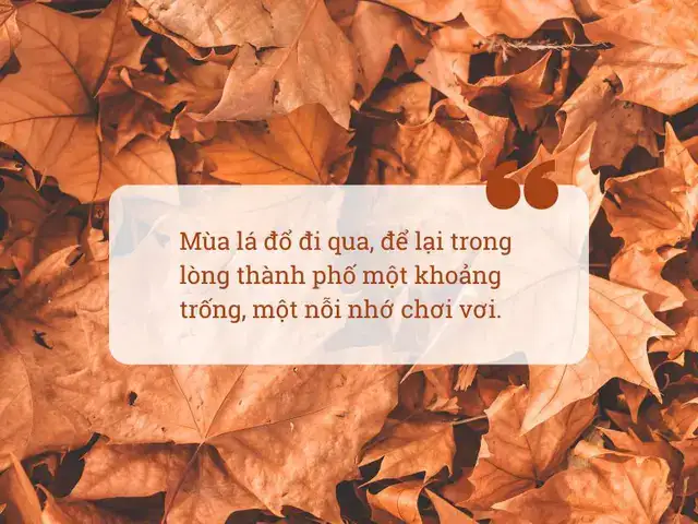 câu nói hay về mùa thu câu nói hay về mùa thu