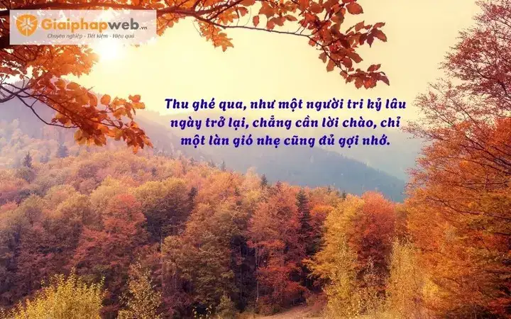 câu nói hay về mùa thu câu nói hay về mùa thu