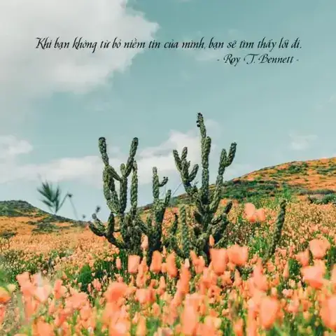câu nói hay về niềm tin câu nói hay về niềm tin