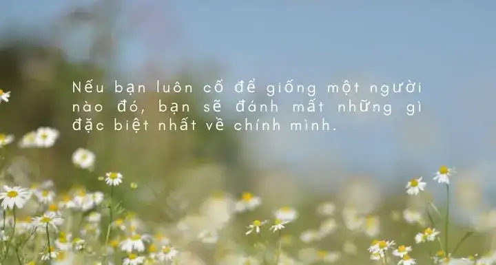 những câu nói hay về bản thân những câu nói hay về bản thân