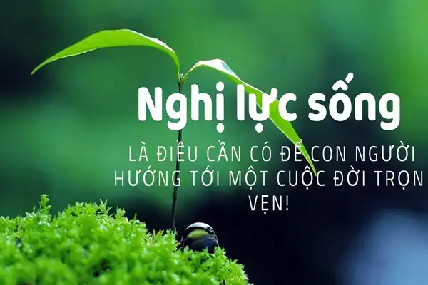 câu nói về ý chí nghị lực