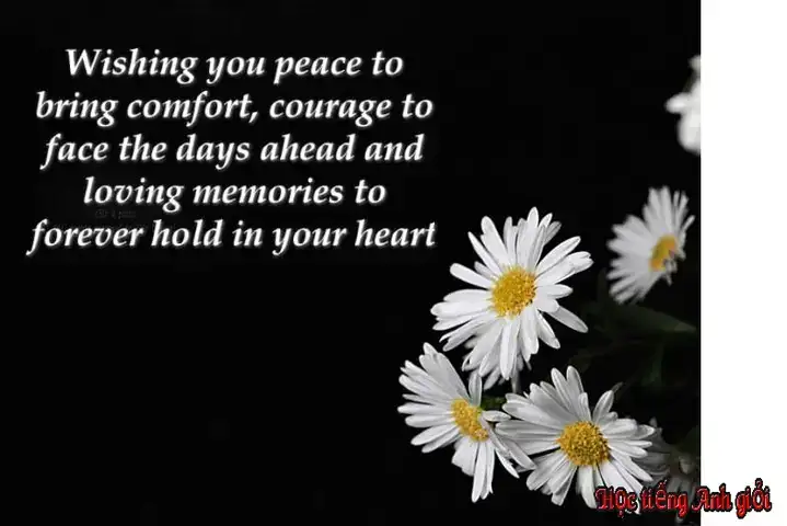 câu nói chia buồn đám tang bằng tiếng anh