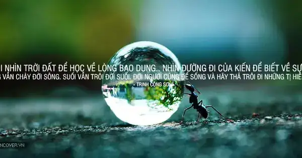 ảnh bìa câu nói hay ảnh bìa câu nói hay