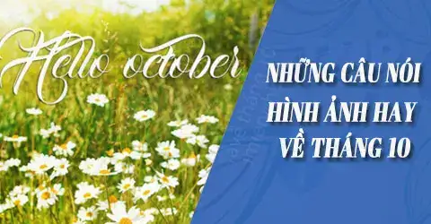các câu nói hay về tháng 10 các câu nói hay về tháng 10