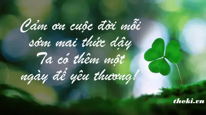 câu nói cảm ơn đời mỗi sớm mai thức dậy câu nói cảm ơn đời mỗi sớm mai thức dậy