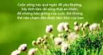 câu nói dễ thương về tình yêu