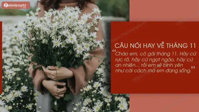 câu nói hay tháng 11 câu nói hay tháng 11