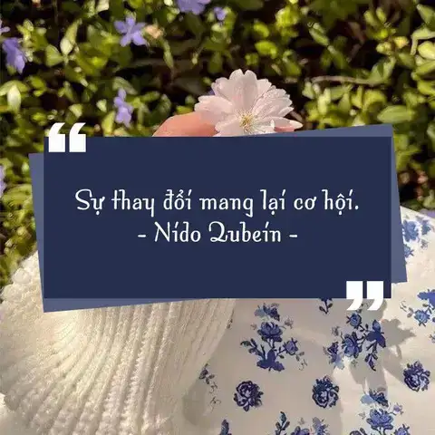 câu nói hay về cơ hội tình yêu câu nói hay về cơ hội tình yêu