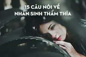 câu nói hay về nhân sinh