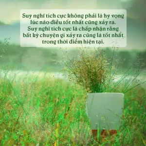 câu nói hay về sự chấp nhận