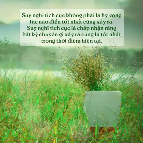 câu nói hay về sự chấp nhận câu nói hay về sự chấp nhận