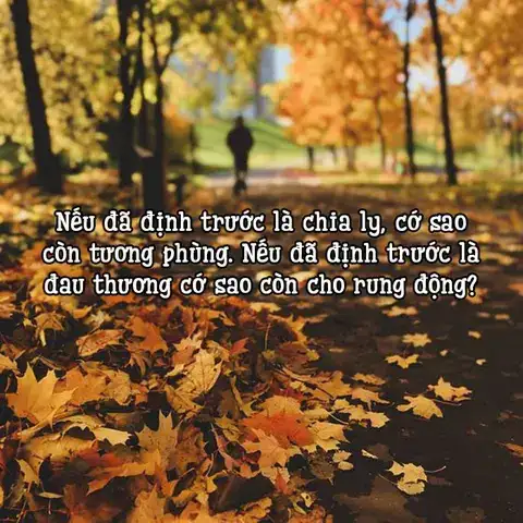 câu nói hay về sự gặp gỡ câu nói hay về sự gặp gỡ