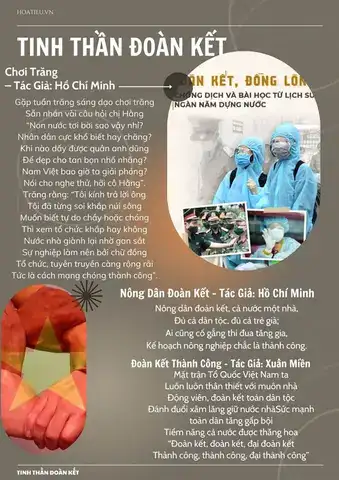 câu nói hay về tình đoàn kết