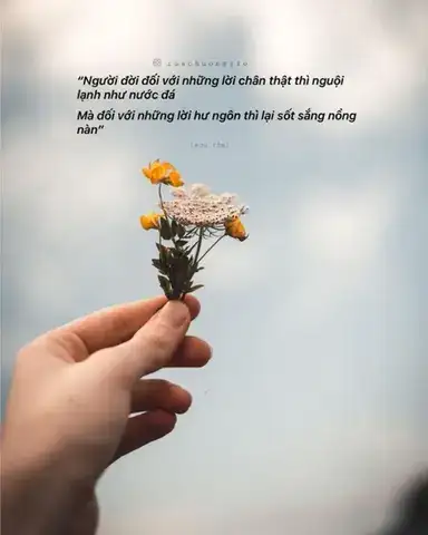 câu nói tâm trạng về cuộc sống