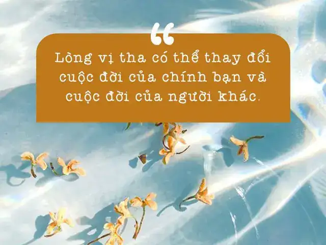 câu nói về lòng bao dung câu nói về lòng bao dung