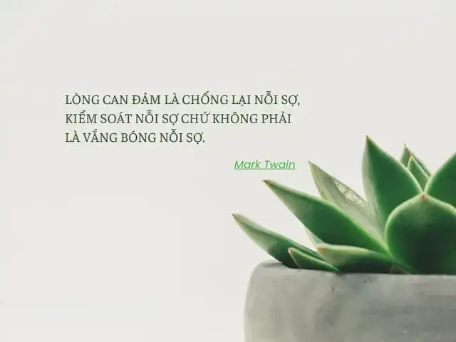 câu nói về lòng dũng cảm câu nói về lòng dũng cảm