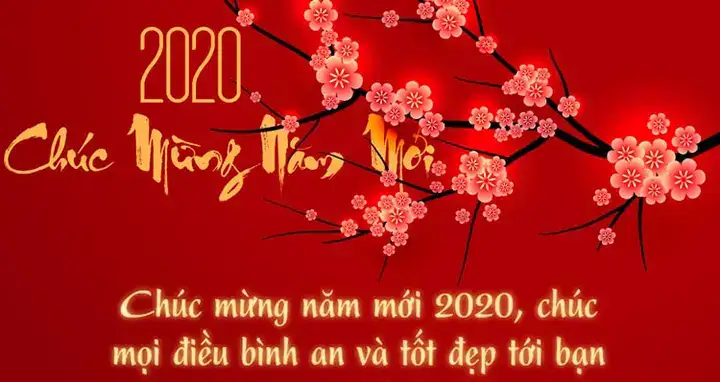 câu nói hay chúc mừng năm mới 2020 câu nói hay chúc mừng năm mới 2020