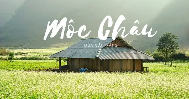 câu nói hay về mộc châu câu nói hay về mộc châu