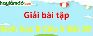 hãy giải thích câu nói chỉ cần ngừng thở 3