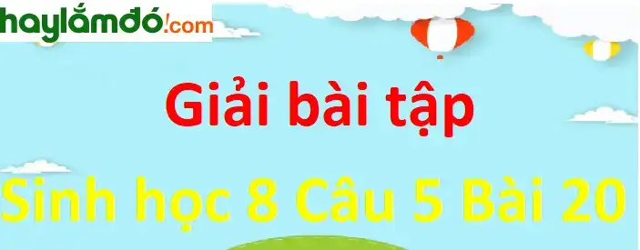 hãy giải thích câu nói chỉ cần ngừng thở 3 hãy giải thích câu nói chỉ cần ngừng thở 3