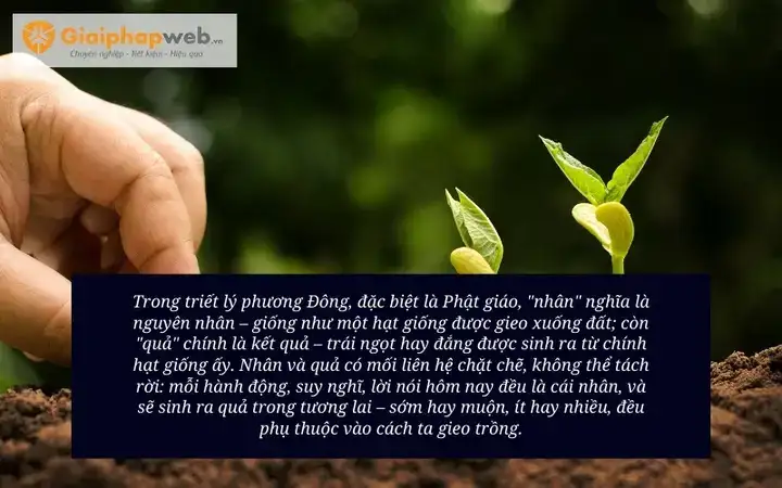 những câu nói về luật đời những câu nói về luật đời