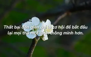 những câu nói bất hủ của vozer