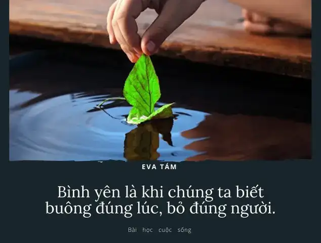 câu nói buông bỏ câu nói buông bỏ