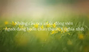 những câu nói buông tay