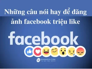 những câu nói câu like dễ thương