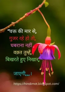 những câu nói chạm đến trái tim