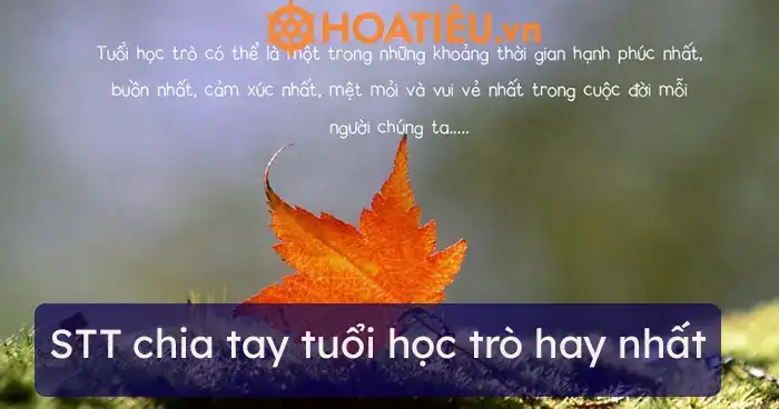 câu nói chia tay tuổi học trò câu nói chia tay tuổi học trò