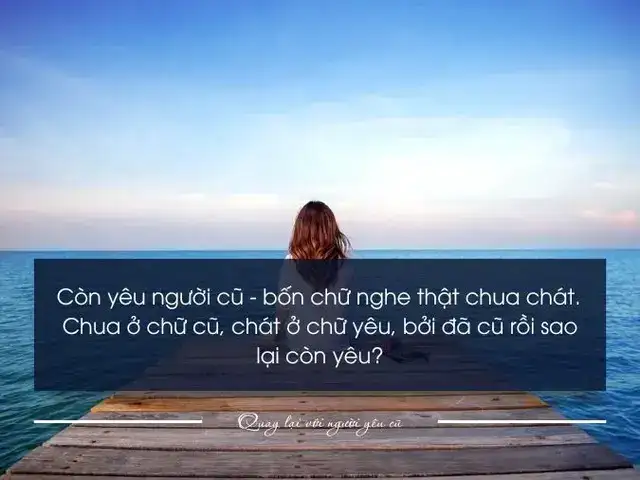 những câu nói chửi người yêu cũ những câu nói chửi người yêu cũ