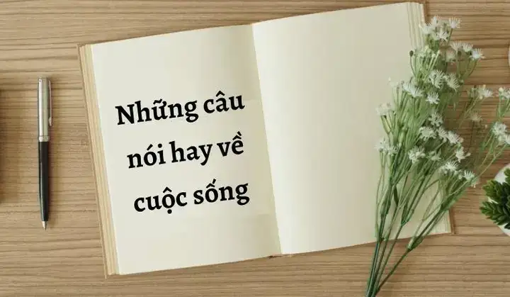 những câu nói dễ thương về cuộc sống