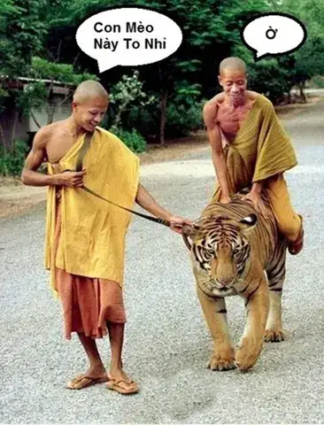 những câu nói hài hước nhất quả đất những câu nói hài hước nhất quả đất