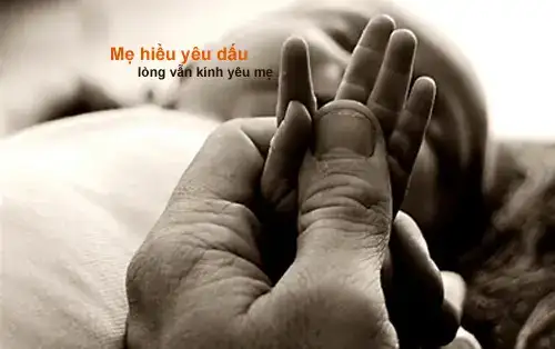 những câu nói hay cha mẹ dành cho con những câu nói hay cha mẹ dành cho con