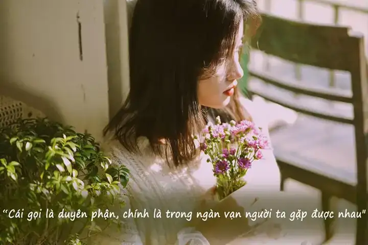 những câu nói hay cho tuổi 20 những câu nói hay cho tuổi 20