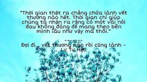 những câu nói hay của lư tư hạo