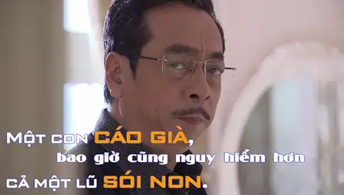 câu nói hay của người phán xử câu nói hay của người phán xử