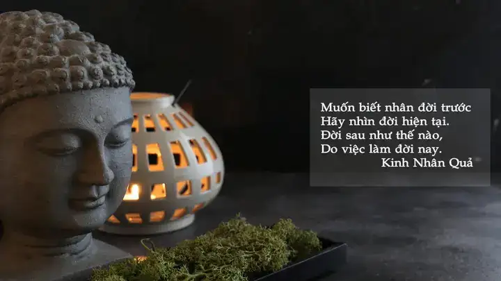 những câu nói hay của phật về nhân quả