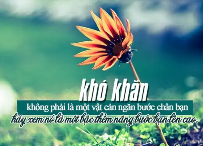 những câu nói hay giúp bạn vượt qua khó khăn những câu nói hay giúp bạn vượt qua khó khăn