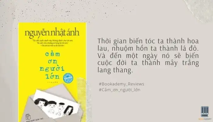 những câu nói hay trong cảm ơn người lớn những câu nói hay trong cảm ơn người lớn