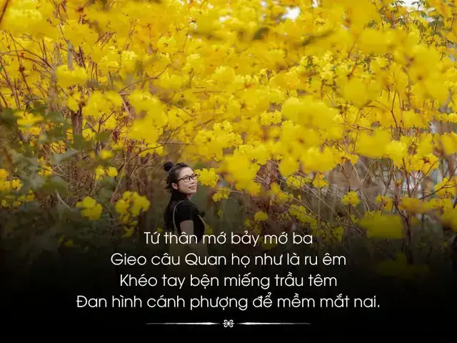 những câu nói hay về bắc ninh những câu nói hay về bắc ninh