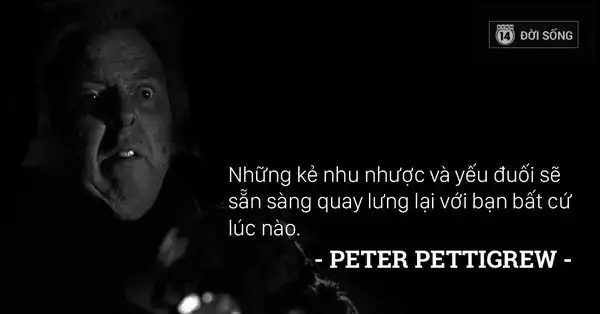 câu nói hay về bài học cuộc sống