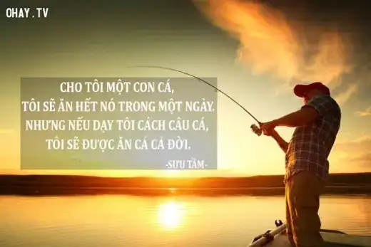 những câu nói hay về bộ đội và giáo viên những câu nói hay về bộ đội và giáo viên