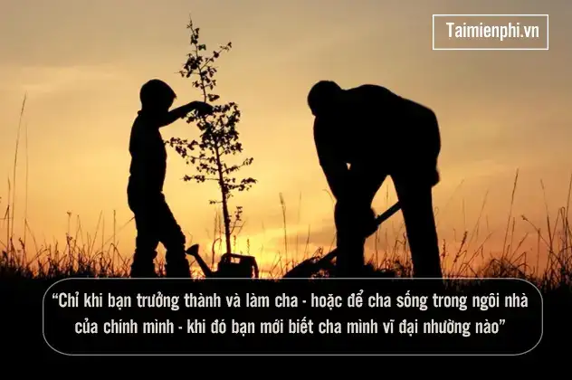 những câu nói hay về bờ vai những câu nói hay về bờ vai