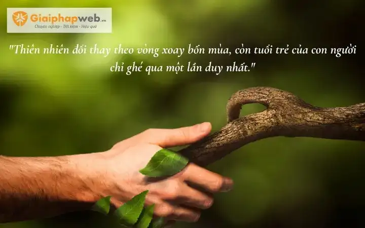 những câu nói hay về bốn mùa